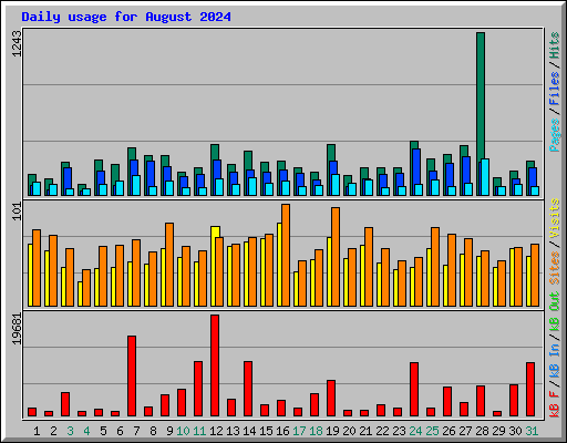 Daily usage for August 2024