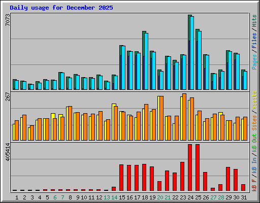 Daily usage for December 2025