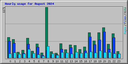 Hourly usage for August 2024