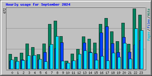 Hourly usage for September 2024