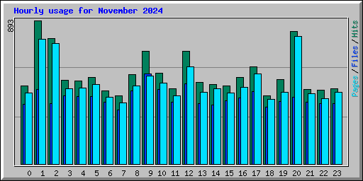 Hourly usage for November 2024