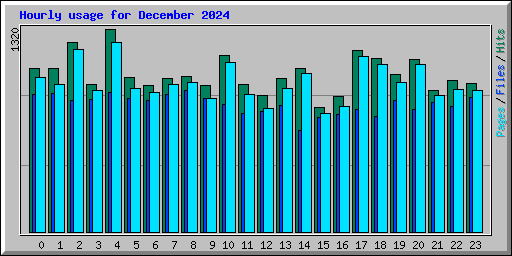 Hourly usage for December 2024