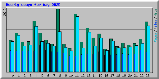 Hourly usage for May 2025