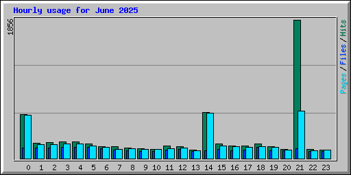 Hourly usage for June 2025