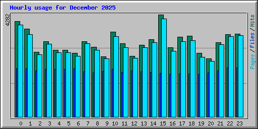 Hourly usage for December 2025