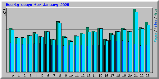 Hourly usage for January 2026