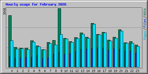 Hourly usage for February 2026
