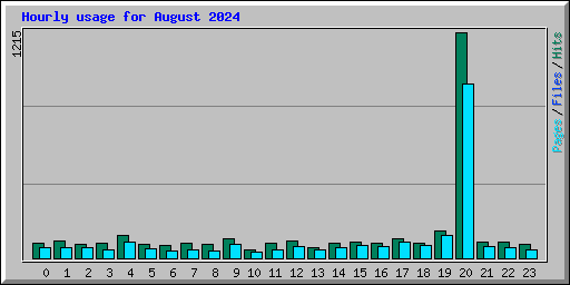 Hourly usage for August 2024