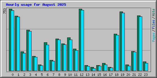 Hourly usage for August 2025