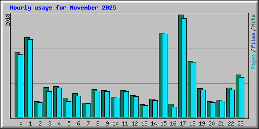 Hourly usage for November 2025