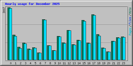 Hourly usage for December 2025