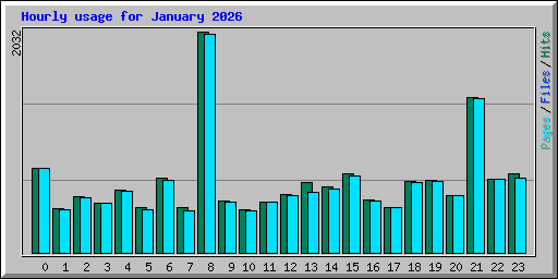 Hourly usage for January 2026
