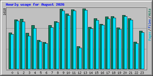 Hourly usage for August 2026